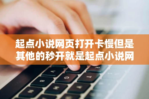 起点小说网页打开卡慢但是其他的秒开就是起点小说网站慢怎么回事 起点小说网页打开卡慢但是其他的秒开就是起点小说网站慢怎么回事