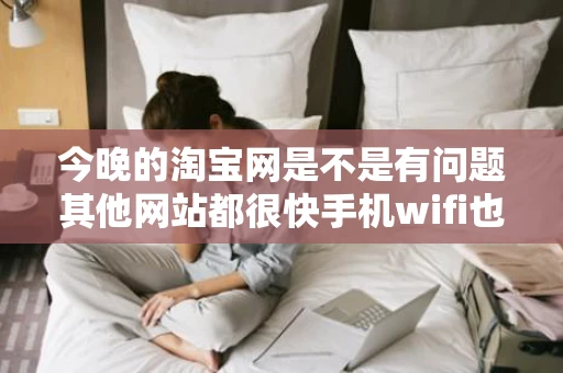 今晚的淘宝网是不是有问题其他网站都很快手机wifi也同样很快就是