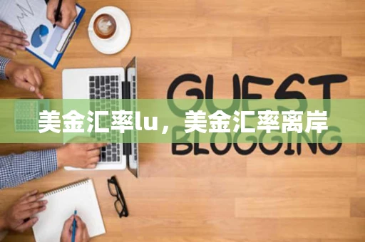 美金汇率lu，美金汇率离岸