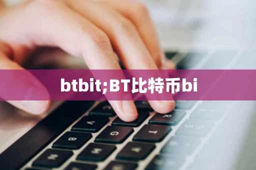 btbit;BT比特币bi