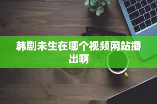韩剧未生在哪个视频网站播出啊 韩剧未生在哪个视频网站播出啊