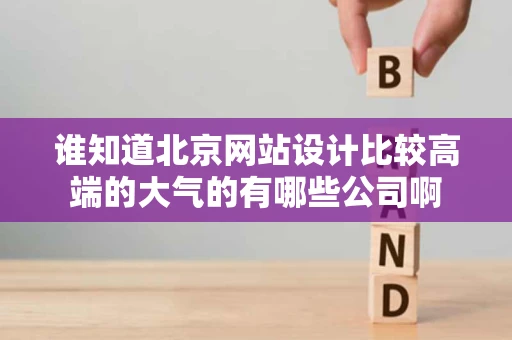 谁知道北京网站设计比较高端的大气的有哪些公司啊