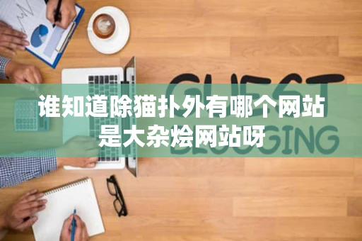 谁知道除猫扑外有哪个网站是大杂烩网站呀