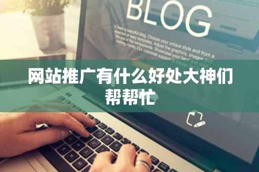 网站推广有什么好处大神们帮帮忙