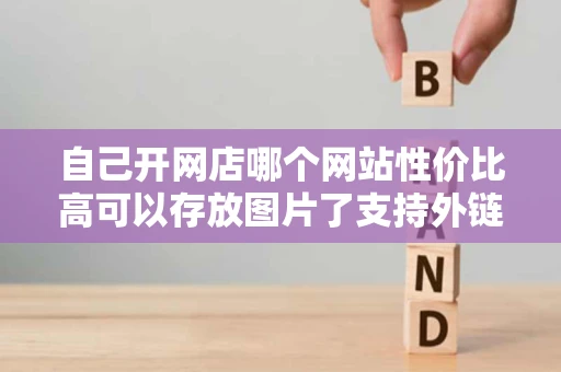 自己开网店哪个网站性价比高可以存放图片了支持外链接的最好没有