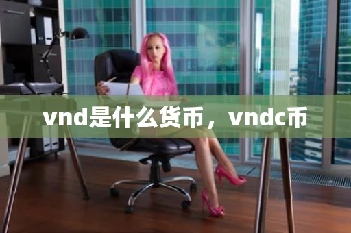 vnd是什么货币,vndc币 vnd是什么货币,vndc币