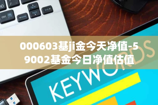 000603基ji金今天净值-59002基金今日净值估值