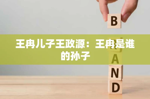 王冉儿子王政源：王冉是谁的孙子