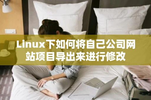 Linux下如何将自己公司网站项目导出来进行修改