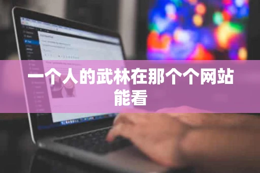 一个人的武林在那个个网站能看