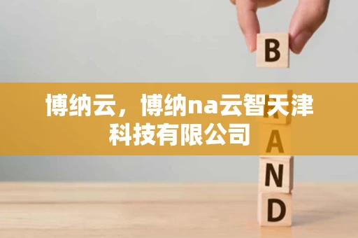 博纳云，博纳na云智天津科技有限公司