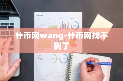 什币网wang-什币网找不到了