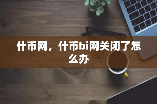 什币网，什币bi网关闭了怎么办