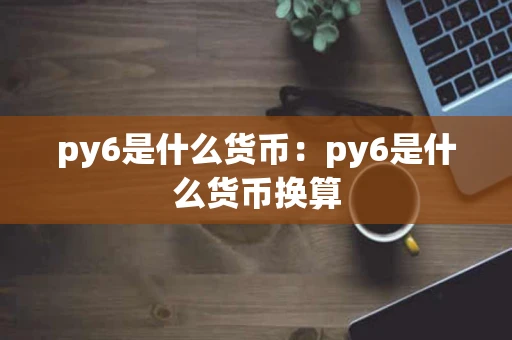 py6是什么货币：py6是什么货币换算