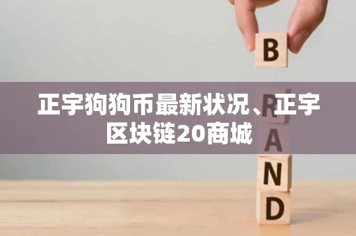 正宇狗狗币最新状况、正宇区块链20商城 正宇狗狗币最新状况、正宇区块链20商城