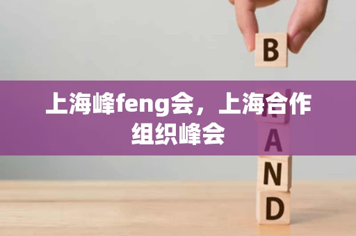 上海峰feng会，上海合作组织峰会