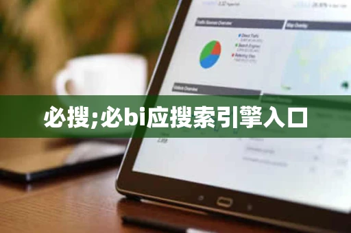 必搜;必bi应搜索引擎入口