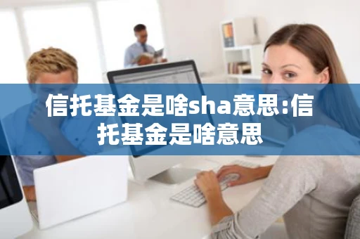 信托基金是啥sha意思:信托基金是啥意思