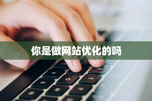你是做网站优化的吗