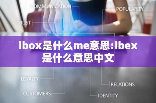 ibox是什么me意思:ibex是什么意思中文