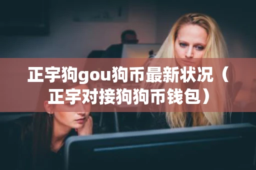正宇狗gou狗币最新状况（正宇对接狗狗币钱包）