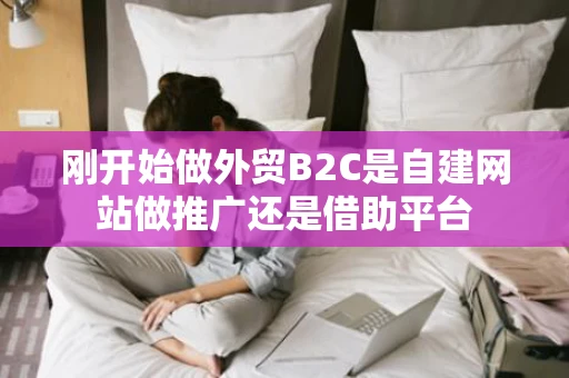 刚开始做外贸B2C是自建网站做推广还是借助平台