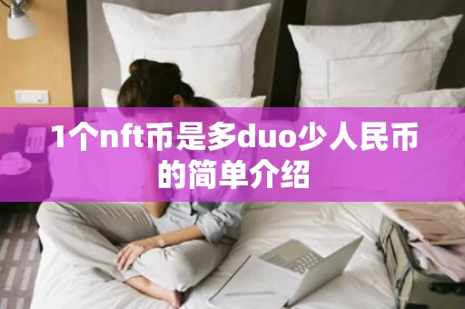 1个nft币是多duo少人民币的简单介绍
