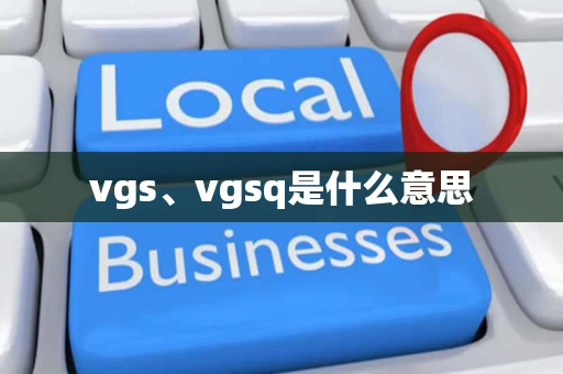 vgs、vgsq是什么意思 vgs、vgsq是什么意思