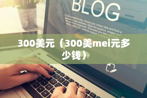 300美元(300美mei元多少钱) 300美元(300美mei元多少钱)