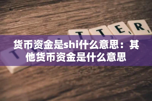 货币资金是shi什么意思：其他货币资金是什么意思