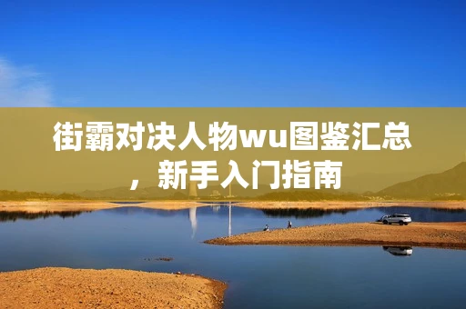 街霸对决人物wu图鉴汇总，新手入门指南