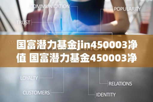 国富潜力基金jin450003净值 国富潜力基金450003净值2007年