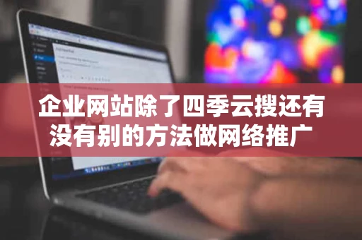 企业网站除了四季云搜还有没有别的方法做网络推广