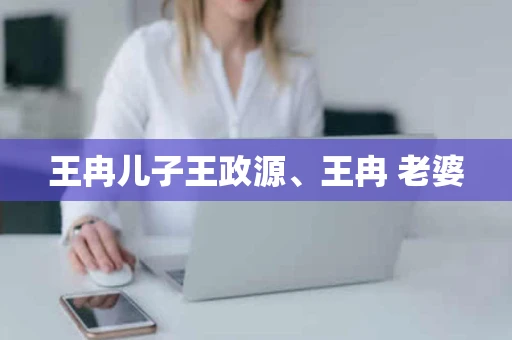 王冉儿子王政源、王冉 老婆 王冉儿子王政源、王冉 老婆