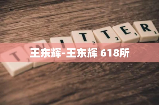 王东辉-王东辉 618所