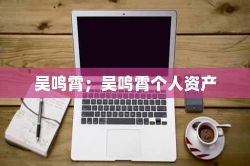 吴鸣霄；吴鸣霄个人资产