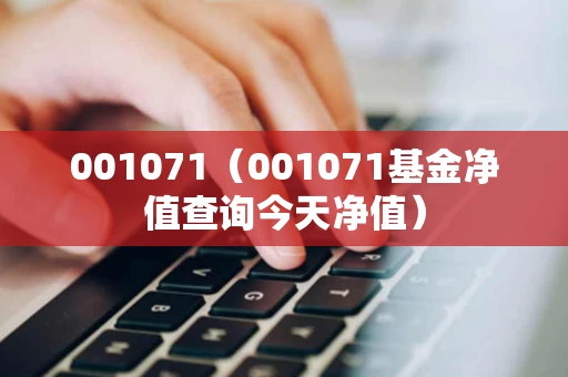 001071（001071基金净值查询今天净值）