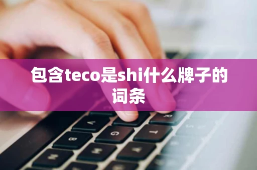 包含teco是shi什么牌子的词条