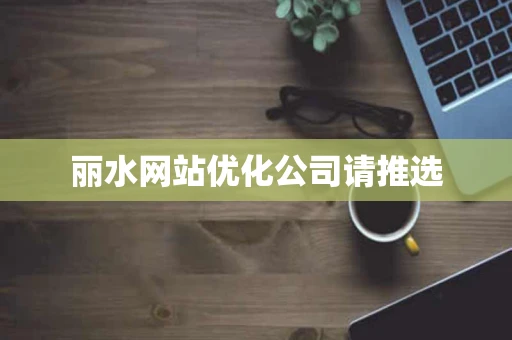 丽水网站优化公司请推选