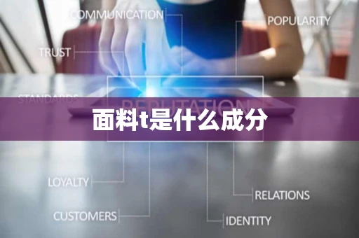 面料t是什么成分