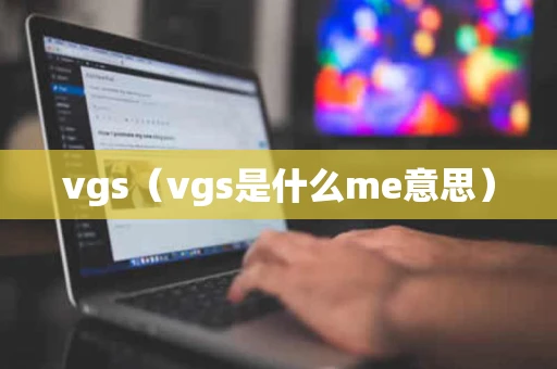 vgs（vgs是什么me意思）