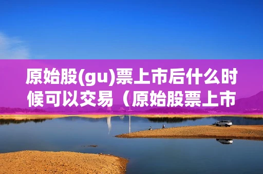 原始股(gu)票上市后什么时候可以交易（原始股票上市后什么时候可以交易科创版）