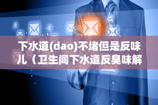 下水道(dao)不堵但是反味儿（卫生间下水道反臭味解决办法）