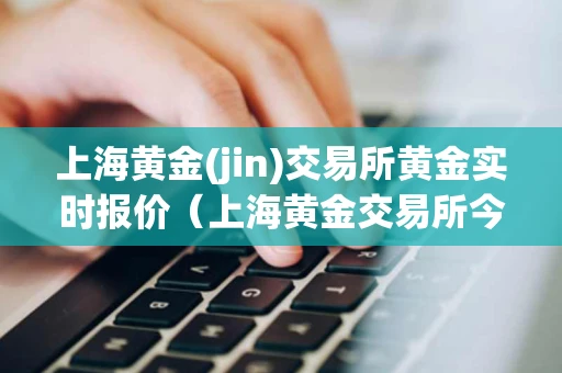 上海黄金(jin)交易所黄金实时报价（上海黄金交易所今日实时行情软件）