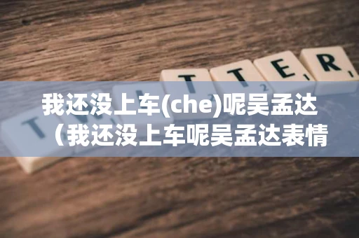 我还没上车(che)呢吴孟达（我还没上车呢吴孟达表情）