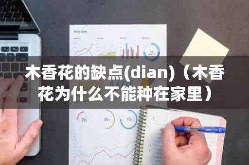木香花的缺点(dian)（木香花为什么不能种在家里）