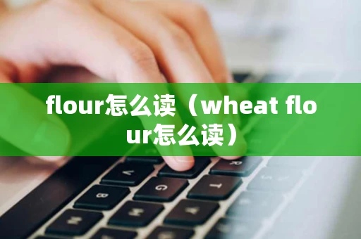 flour怎么读（wheat flour怎么读）