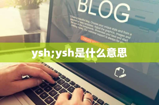 ysh;ysh是什么意思