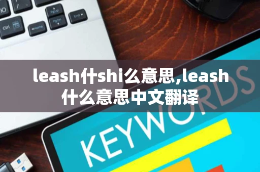 leash什shi么意思,leash什么意思中文翻译