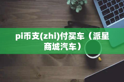 pi币支(zhi)付买车（派星商城汽车）